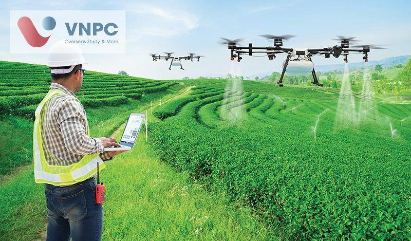 Đăng nhập King88 vina nhận +888K Úc ngành nông nghiệp 